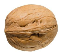 Whole walnut isolated on white background. clipping path