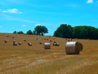 campagne fran&ccedil;aise