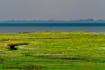 Salzwiesen auf der Nordseeinsel Baltrum, Ostfriesland