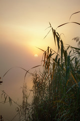 Misty morning on the lake. The Sun in the fog. Very early morning. Calm autumn landscape.