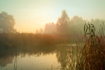 Fototapeta na wymiar Misty morning on the lake. Dawn in the fog. Forest reflected in the calm water. Calm autumn landscape.