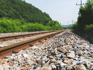 Fototapeta na wymiar Railway tracks in the forest. South Korea