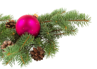 Fir tree branch. Christmas decoration.