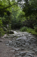 landscape of southern Russia