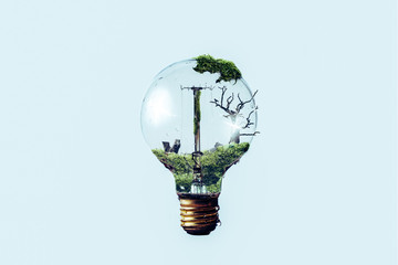 Light bulb with forest inside