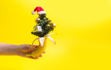 Banana christmas concept