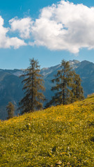 Smartphone HD wallpaper of beautiful alpine view at the Achensee - Tyrol - Austria
