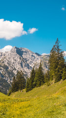 Smartphone HD wallpaper of beautiful alpine view at the Achensee - Tyrol - Austria
