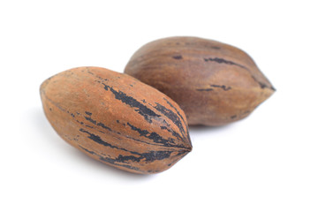 UnShelled pecan nuts isolated on white background.