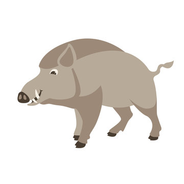  cartoon wild boar, vector illustration, flat style,