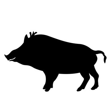  cartoon wild boar, vector illustration,  black silhouette,