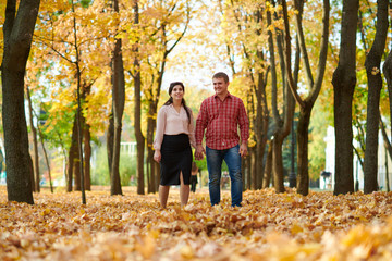 Fototapeta premium Couple is walking in autumn city park. Bright yellow trees.