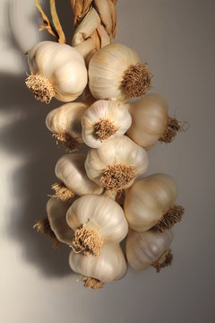 tresse d'ail