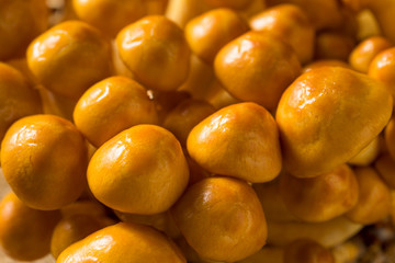 Raw Organic Nameko Mushrooms