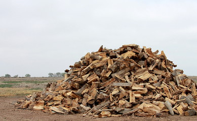 A large pile of firewood before being stacked