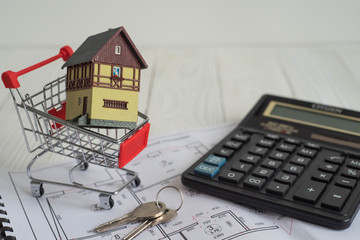 Buying a house, building repair and mortgage concept. Estimation real estate property with loan money and banking with shopping cart