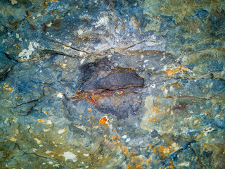 Stone or rock Pattern and texture for backgrounds.