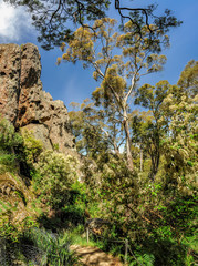Fototapeta na wymiar Hanging rock-a mystical place in Australia, Victoria