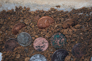 monedas