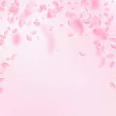 Sakura petals falling down. Romantic pink flowers 