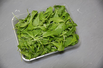 Arugula salad in the box. Rucola lettuce healthy food. Vegetarian lifestyle concept. Green fresh vitamins.