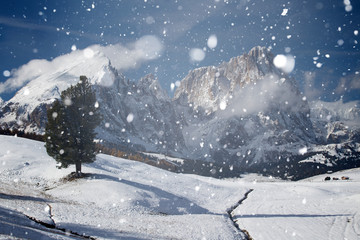 Fototapeta na wymiar Christmas backround of winter landscape