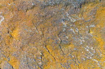 orange stone texture background