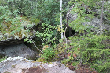 photo landscape forest and mountains
