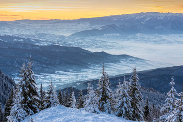 Winter landscape with golden sunset over Carpathians mountains, Romania. Snowy misty valleys at the base of Postavaru and Piatra Craiului mountains, Brasov county, Transylvania region.