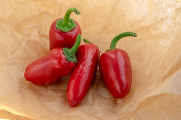 Group of hot peppers jalapeno, dark red color on creased beige brown paper, mexican cuisine very hot ingredients