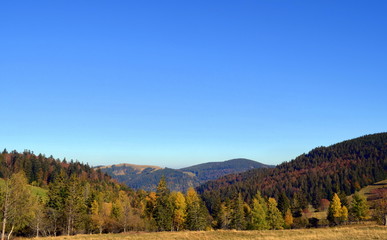 Schwarzwald im Herbst