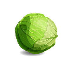 Fresh juicy green cabbage isolated on white background. Healthy eating, vegetarian food.