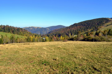 Fototapeta premium Schwarzwaldgipfel im Herbst