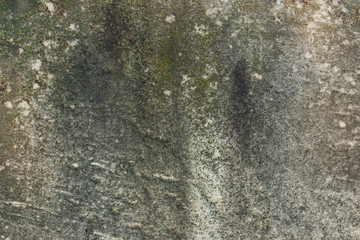 Stone texture with green lichen