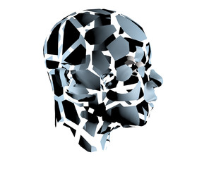 3d illustration of human head broken on pieces as a symbol of mental disorde