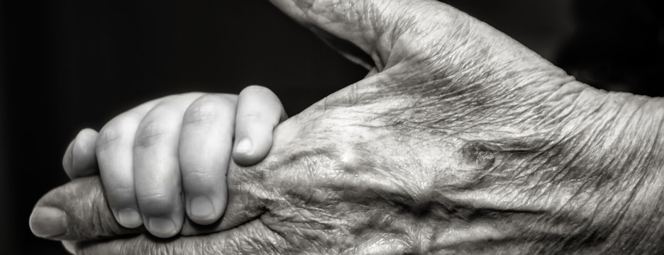 Childs hand and old wrinkled skin palm finger Concept idea of love family protecting children and elderly people grandparent friendship togetherness relationship Two generation Black and white.