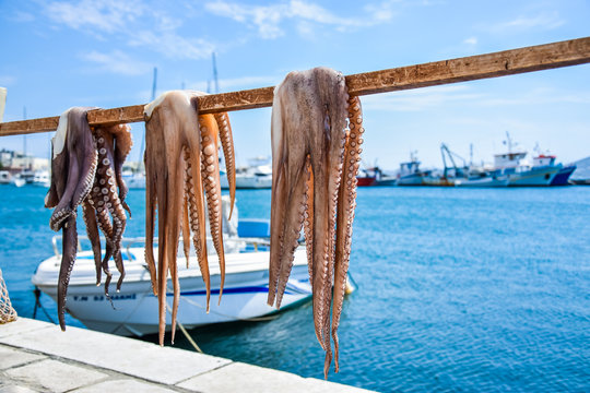 Octopus drying in the sun on Naxos, Greece