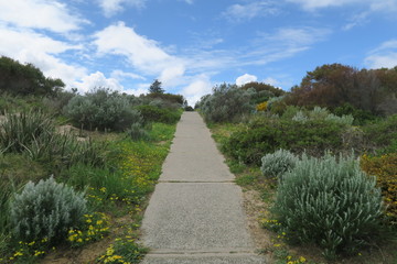 Obraz premium Freier Weg in Landschaft