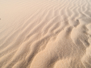 Fototapeta na wymiar Beautiful structures of sandy dunes. sand with wave from wind in desert 