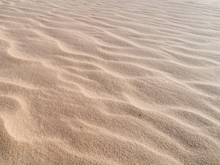 Fototapeta na wymiar Beautiful dune of Parnaíba, Brazil. 