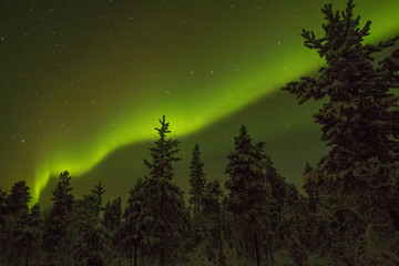 Polarlicht am Inarisee in Lappland