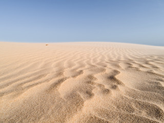 Beautiful dune of Parnaíba, Brazil. 