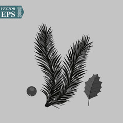 Spruce branch isolated on white background. Realistic Christmas tree. Vector llustration for Xmas cards, New year party posters.