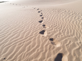 Beautiful dune of Parnaíba, Brazil. 