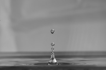 water, drop