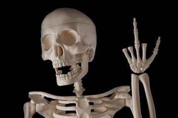 skeleton shows middle finger, black background