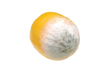 Lemon with mold isolated