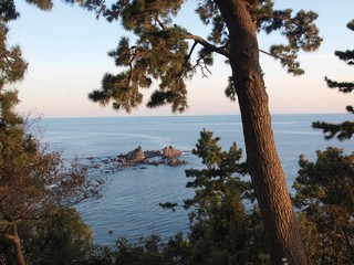 名勝「三ツ石」　真鶴