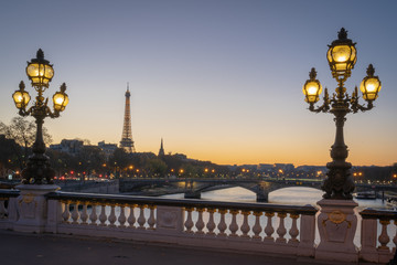 Fototapeta premium Paris, France - 11 18 2018: panoramic view of Paris and the Eiffel Tower from the Alexander III bridge with floor lamp at sunset
