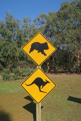 Koala K&auml;nguru Warnschild in Australien